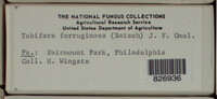 Image Associated With the Occurence